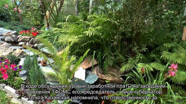 Петербургский фонд ОМС в 2014 году потратит на медицину больше полсотни миллиардов рублей смотреть онлайн