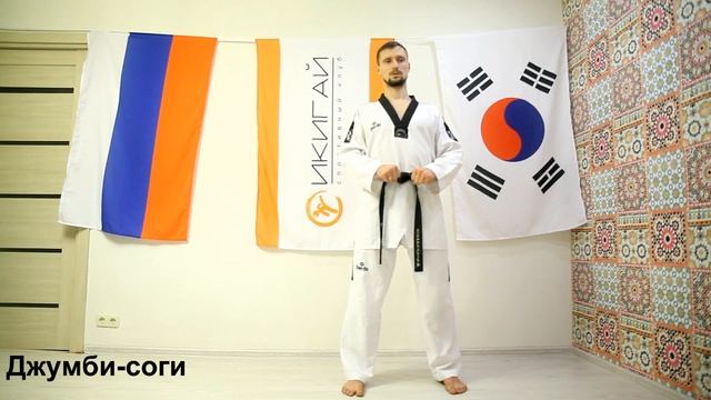 Стойка всадника. Чучум соги. Постановка с комментариями. смотреть онлайн