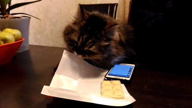 Макс и обёртка от шоколада. смотреть онлайн