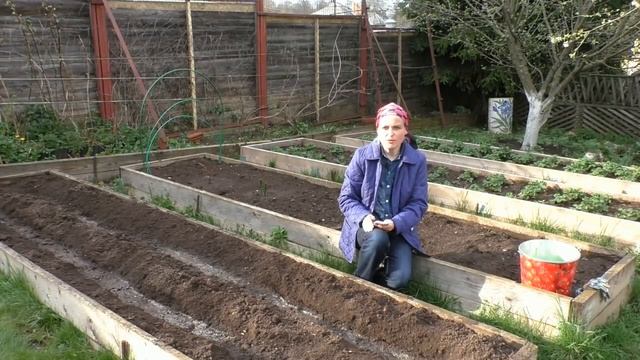 Посев огурцов под специальный "домик" смотреть онлайн