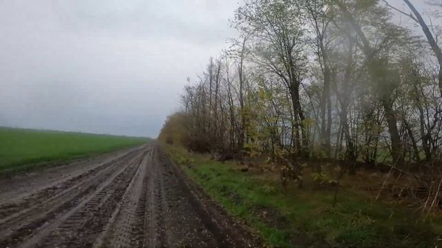 Охота на зайца в полях Краснодарского края/ 2-е охоты в одном видео ролике/ добыл трудовых зайчиков