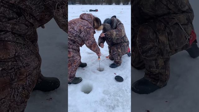 Форель на сливу смотреть онлайн