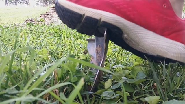 Metal Detecting a homesite from 1840 with my Nokta Makro Legend #idigfridays смотреть онлайн