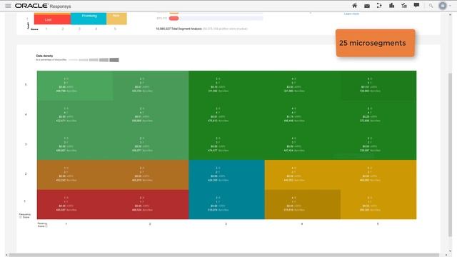 Oracle Responsys - RFM Dashboard Overview смотреть онлайн