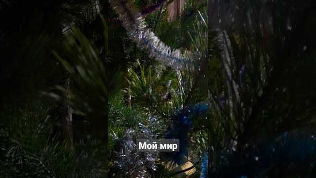 Красиво поют в церкви.Рождественская служба. смотреть онлайн