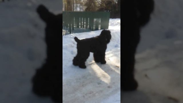 перекресток