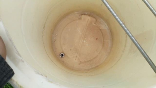 Коптильня холодного копчения своими руками. Сборка, Запуск, Проблемы. смотреть онлайн