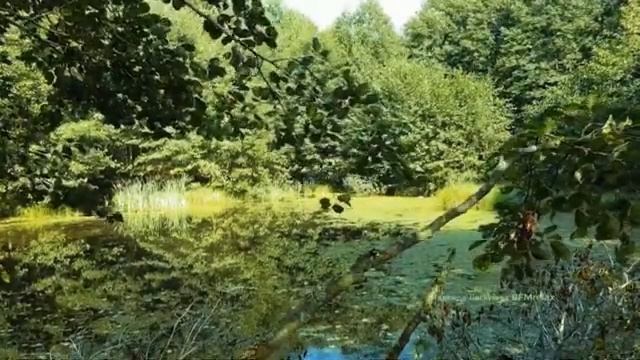 Спокойная , расслабляющая, нежная и ласковая антистресс. Музыка для сна, учёбы и отдыха.2020