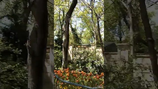 видио обзор кабардинка старый Парк май 2023 г. смотреть онлайн