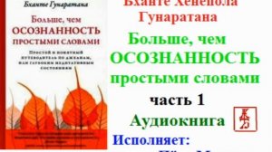 Бханте Хенепола Гунаратана  Больше, чем осознанность простыми словами  Часть 1 Аудиокнига