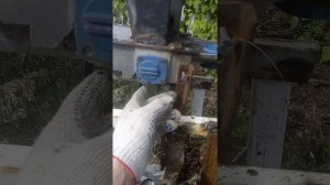 садовый измельчитель из рубанка