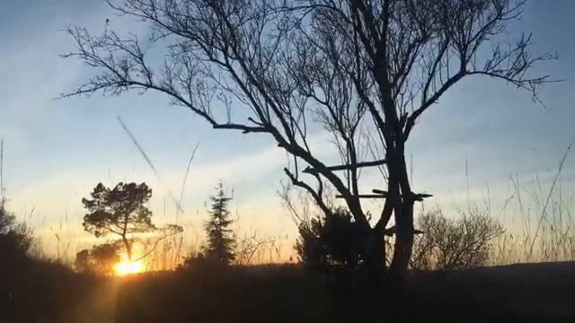 meditation Music For Positive Energy Clearing Subconscious ? Boost Your Aura 2020 смотреть онлайн