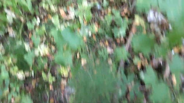 Прут и прут эти находки. Коп металла смотреть онлайн