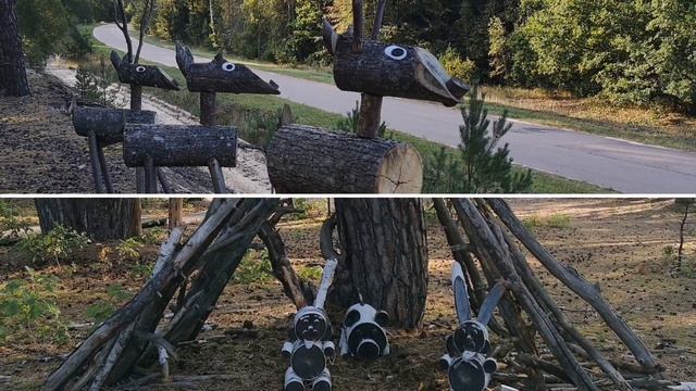 Поездка в заповедник "Брянский лес". смотреть онлайн