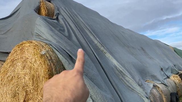 Связь цены и типа флиса для соломы и сена от Ланитэкс. И почему перед тем как экономить надо думать смотреть онлайн