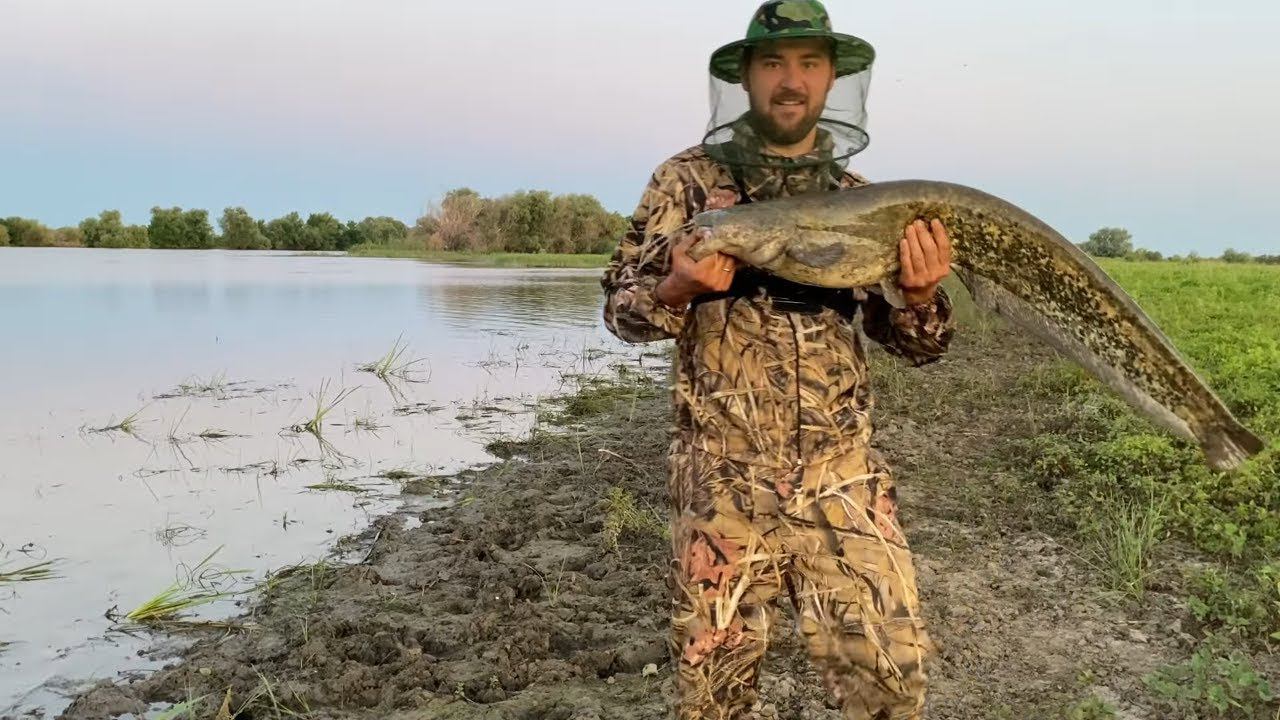 РЫБАЛКА С НОЧЕВКОЙ. Попался ХОРОШИЙ СОМ на лягушку. Ловля сазанов на жмых. смотреть онлайн