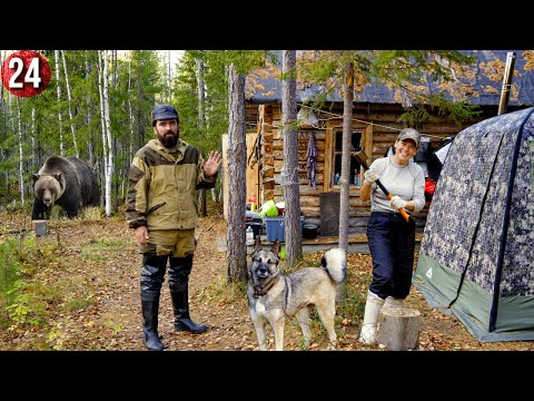 Bushcraft - 34,35 день. Рыбалка в глухой тайге. Река забита щукой. Сбор грибов. Бушкрафт по-русски смотреть онлайн