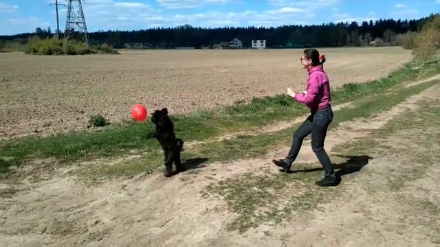 Шарик сдулся :)