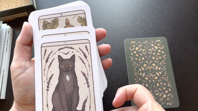 Woodland Wardens by Jessica Roux | Oracle Deck Full Flip Through | #oracledeck #divination смотреть онлайн