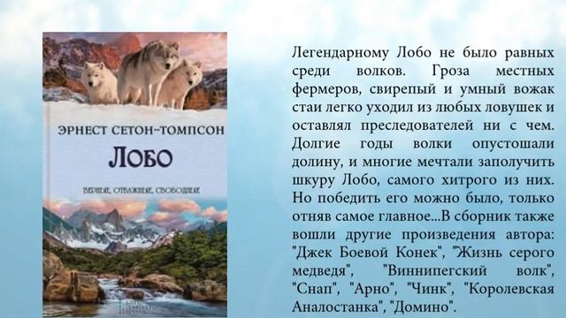 С книгой по лесной тропинке смотреть онлайн