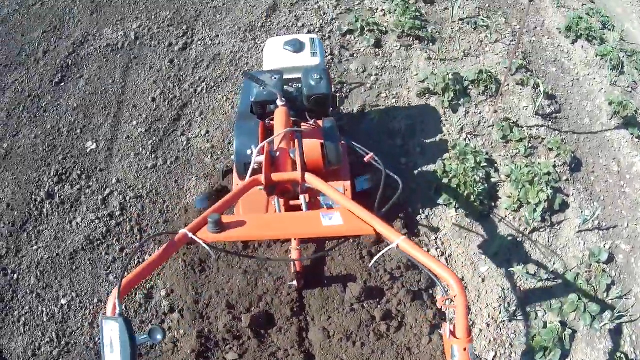 ВСПАШКА ФРЕЗАМИ на ПЕРВОЙ передаче ОТ ПЕРВОГО ЛИЦА. Мотоблок АГАТ смотреть онлайн