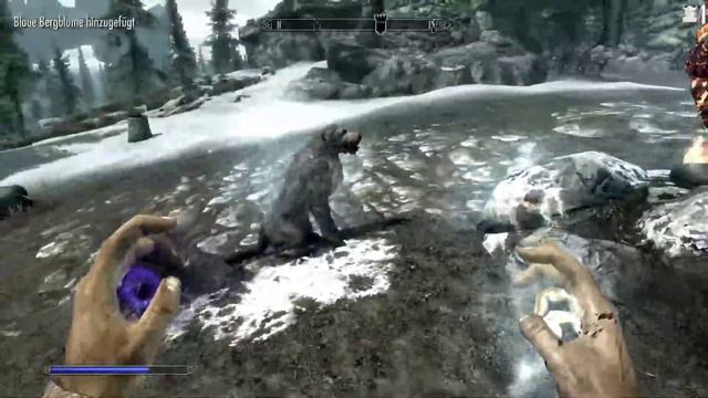 Skyrim RPG mit Mods: Necromancer #4: Ein toller neuer Begleiter besuchen! (german) (Interaktiv) смотреть онлайн