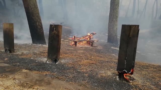 Incendie en Gironde : 2 900 hectares de forêt brûlée à La Teste-de-Buch смотреть онлайн