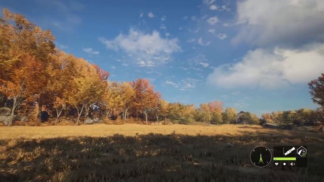 Goose Hunting Guide! | Call Of The Wild (Tips & Locations) смотреть онлайн