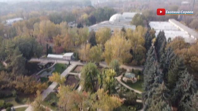 Ботанический сад г. Донецка смотреть онлайн