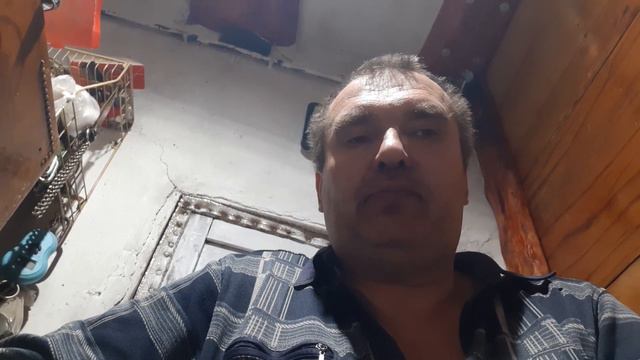 если оставить лошадь в лесу ? смотреть онлайн