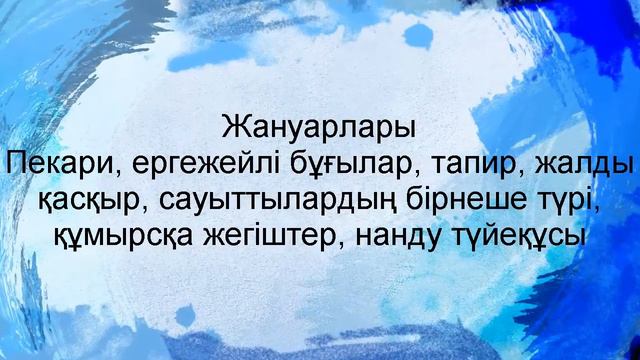 Онтүстік Америка - Табиғат Зоналары смотреть онлайн