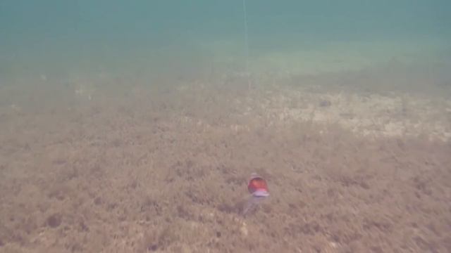 Ультралайт воблер Crazy Plankton (EG-182) смотреть онлайн