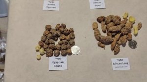 Тигровый Орех. Обзор вкусов всех сортов чуфы