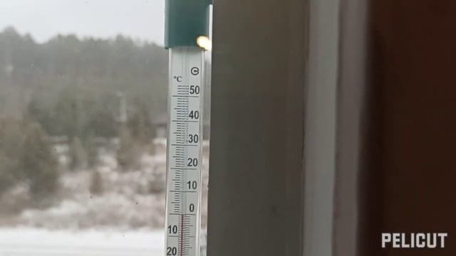Золотой Ус - как его сохранить, уезжая в отпуск. смотреть онлайн