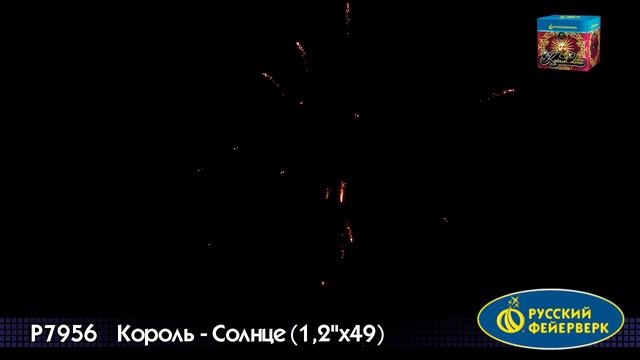 КОРОЛЬ   СОЛНЦЕ  P7956