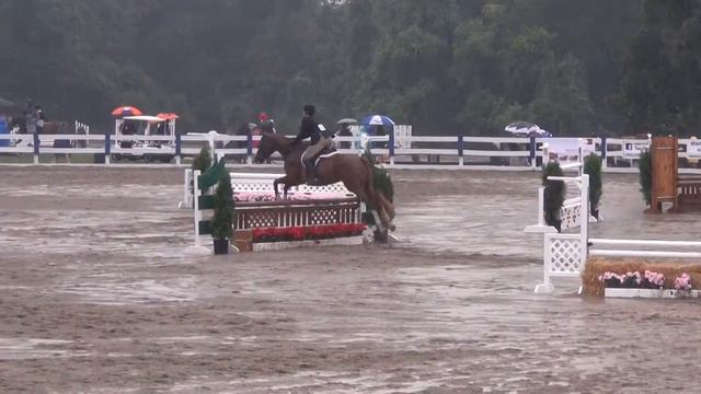 Christina and Gunther at Ludwig Corner's Horse Show in Children's Hunter Class 3 Foot смотреть онлайн