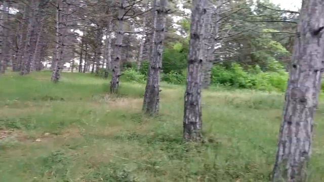 Сапун гора. Природа, горы, лес, отдых. Часть 2. смотреть онлайн