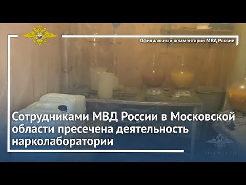 Ирина Волк: Сотрудниками МВД России в Московской области пресечена деятельность нарколаборатории смотреть онлайн