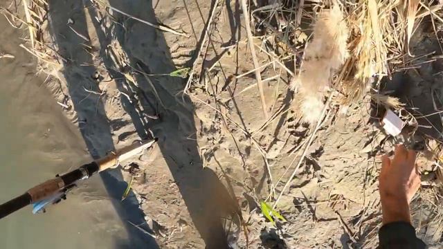 рыбалка с Дэном на Или смотреть онлайн