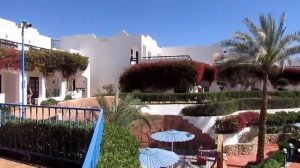 Отель Верджиния Шарм Резорт (Verginia Sharm El Sheikh Resort Hotel). Март 2019 г.