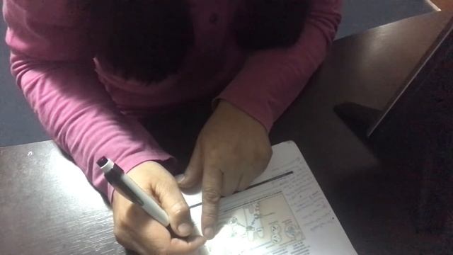 Bacteroides Fragilis Presentación Antígeno Th1/Th2 смотреть онлайн