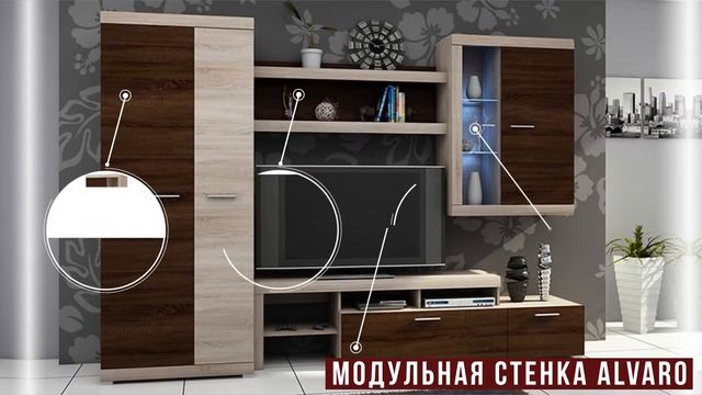 Модульная стенка Alvaro от мебельного магазина 