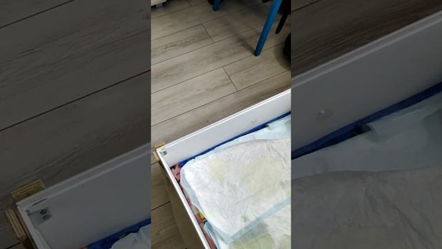 Цвергшнауцеры. 5 недель. смотреть онлайн