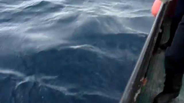 рыбалка в ура - губе смотреть онлайн