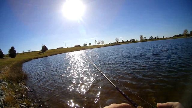 Fishing The DIY Tokyo Rig смотреть онлайн