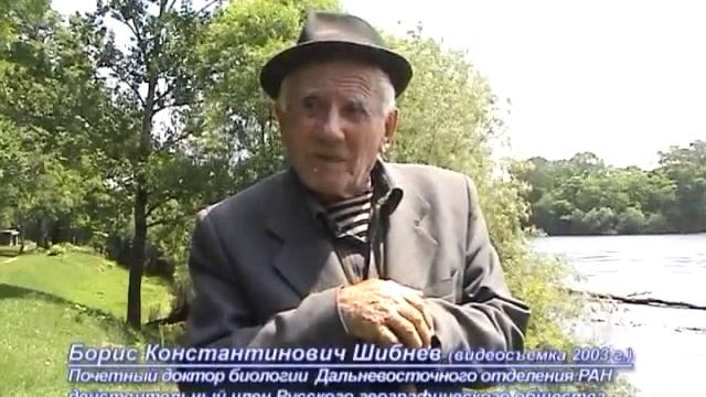 Шибнев Б. К. Роль ивняка чозеней на Бикине смотреть онлайн