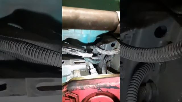 Volvo D12D egr valve position 1.@rustmonkeygarage смотреть онлайн