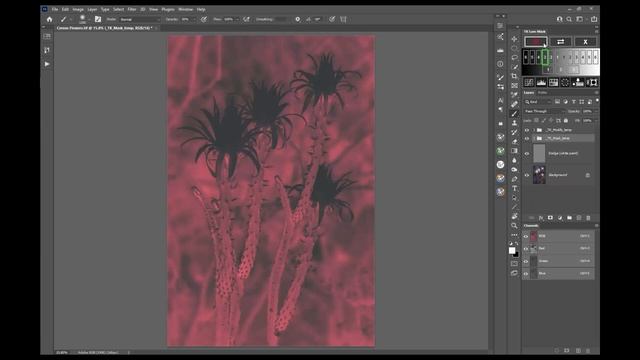 TK Lumunoisty Mask by Tony Kuyper | Plugin Demo | Adobe Creative Cloud смотреть онлайн