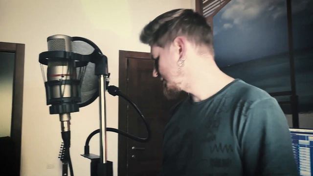 Котики смотреть онлайн