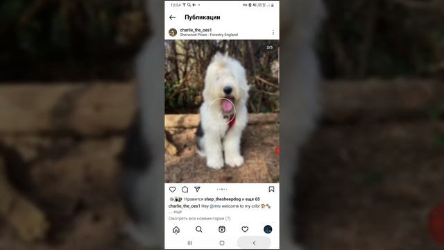 🐕🐶🐶🐕🐕 смотреть онлайн